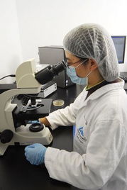 萊茵技術商檢青島食品實驗室 技術創(chuàng)新與交流的視覺之旅